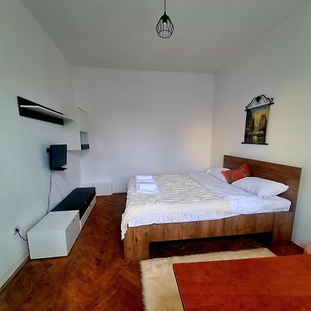 Mural Art Apartament Petroşani Dış mekan fotoğraf