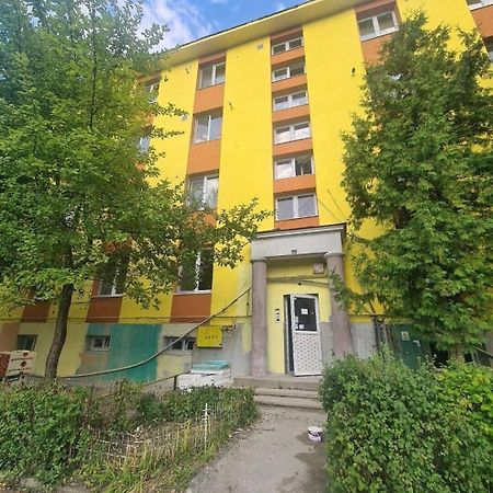 Mural Art Apartament Petroşani Dış mekan fotoğraf