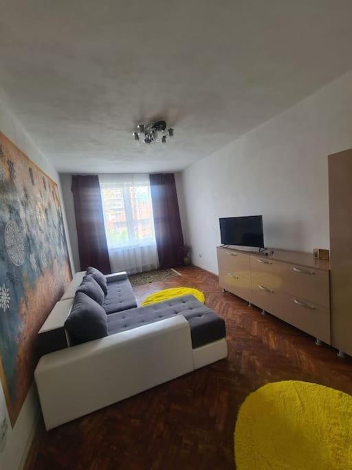 Mural Art Apartament Petroşani Dış mekan fotoğraf