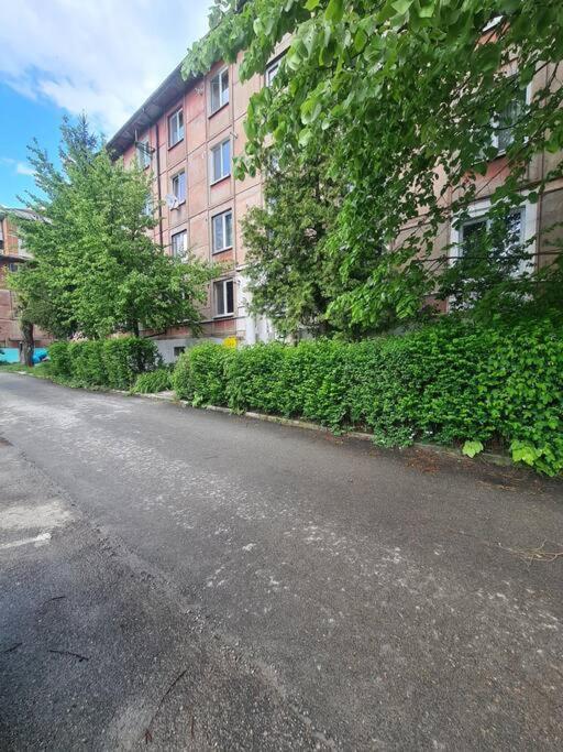 Mural Art Apartament Petroşani Dış mekan fotoğraf