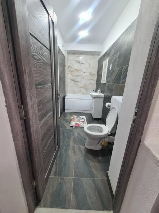 Mural Art Apartament Petroşani Dış mekan fotoğraf
