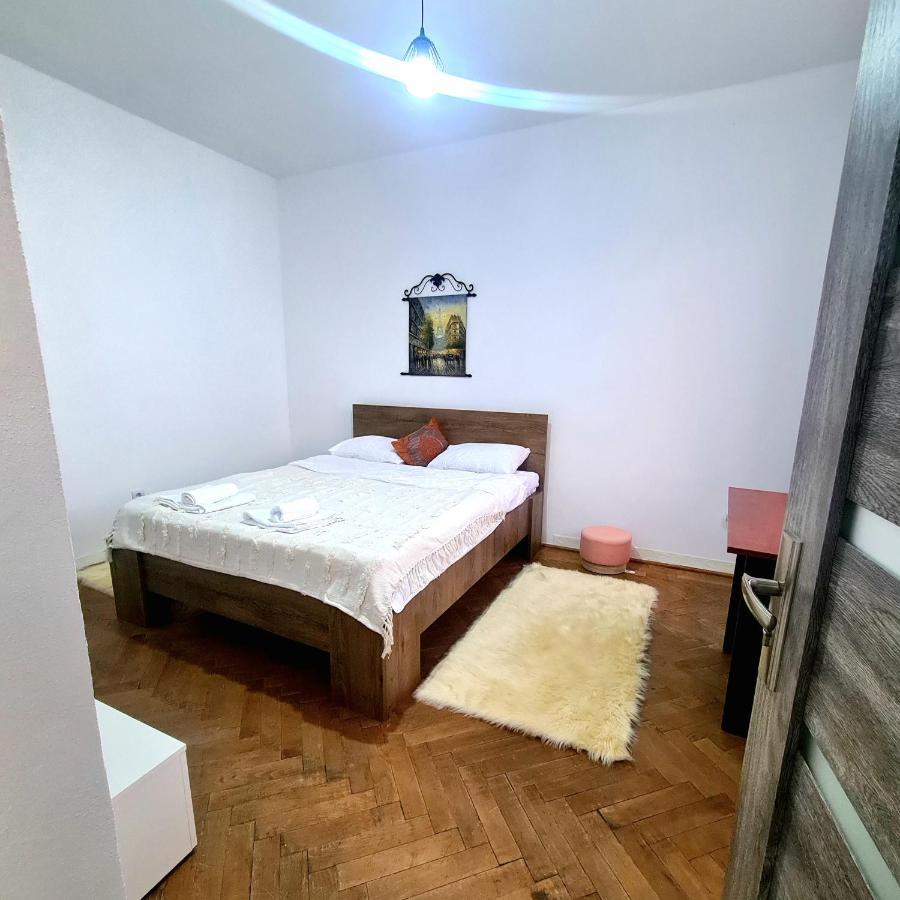 Mural Art Apartament Petroşani Dış mekan fotoğraf