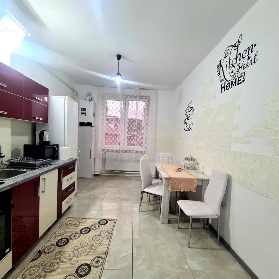 Mural Art Apartament Petroşani Dış mekan fotoğraf
