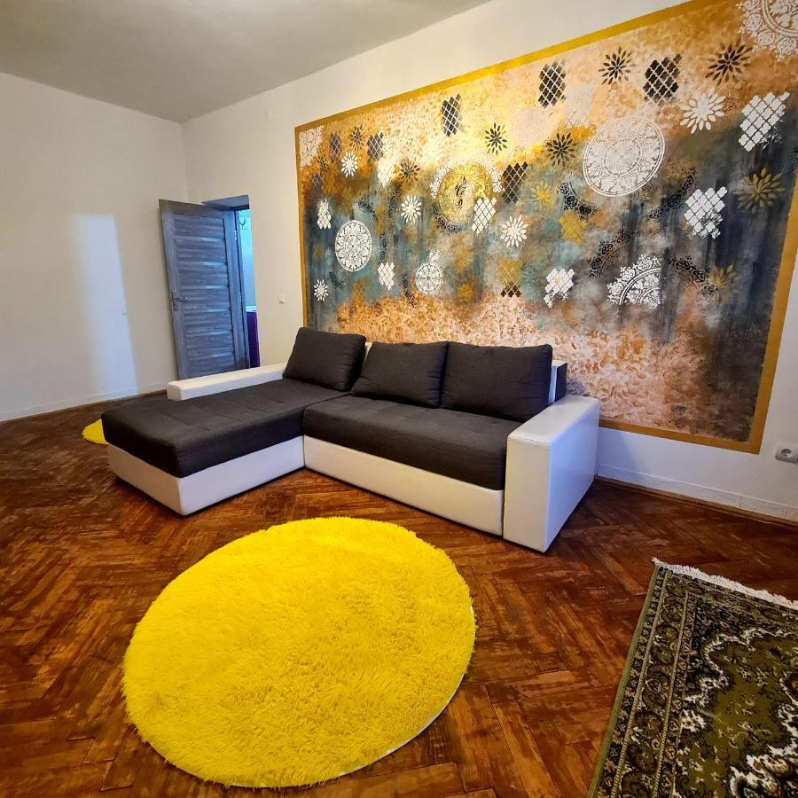 Mural Art Apartament Petroşani Dış mekan fotoğraf