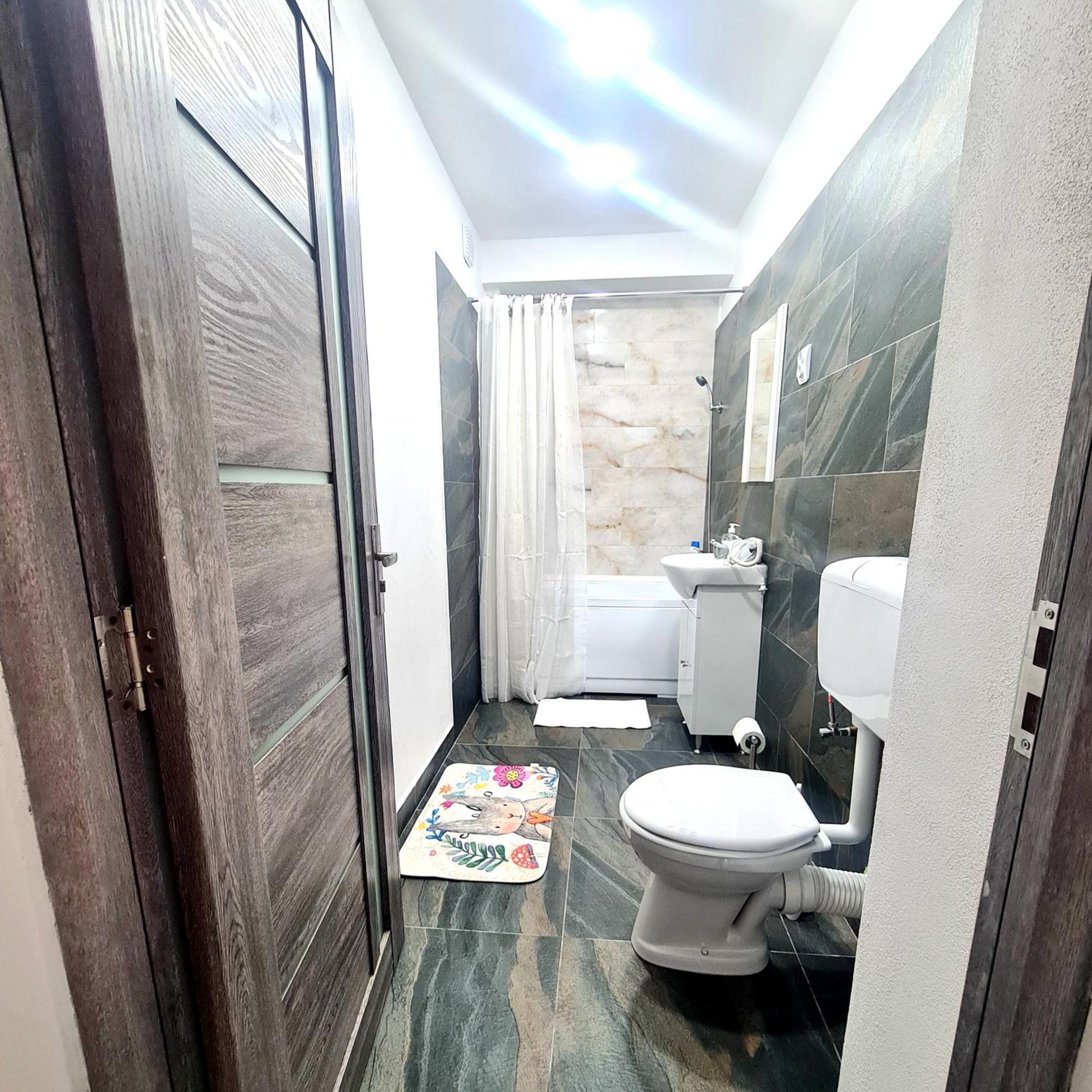 Mural Art Apartament Petroşani Dış mekan fotoğraf